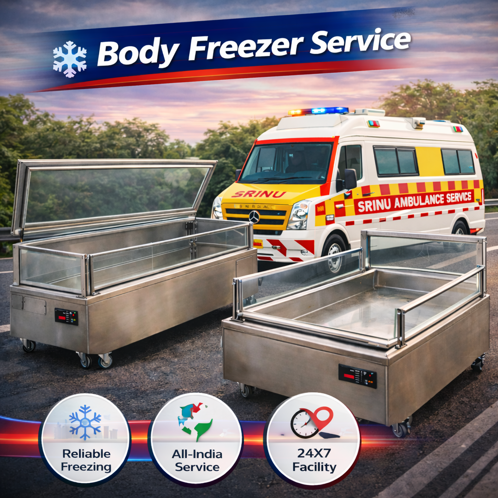 Body Freezer Service
